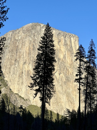 Yosemite National Park 