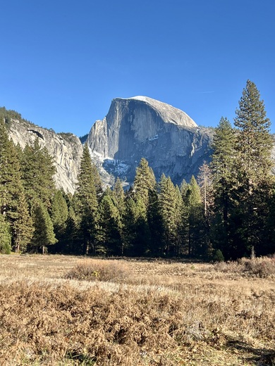 Yosemite National Park 