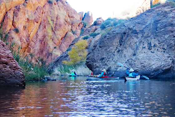 Tonto National Forest