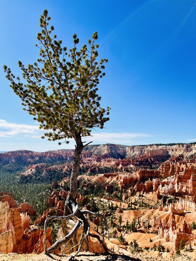 Bryce Canyon National Park