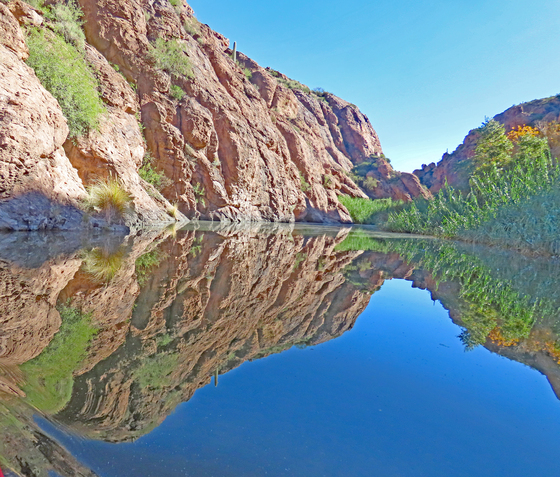 Tonto National Forest