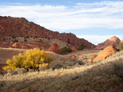 Paria Canyon-Vermilion Cliffs Wilderness