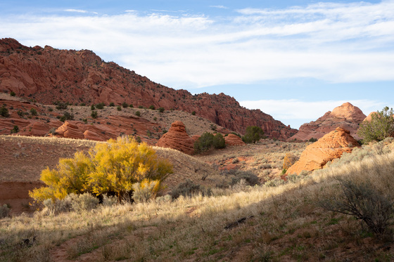 Paria Canyon-Vermilion Cliffs Wilderness