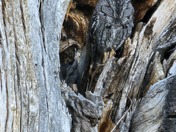 Big Bend National Park