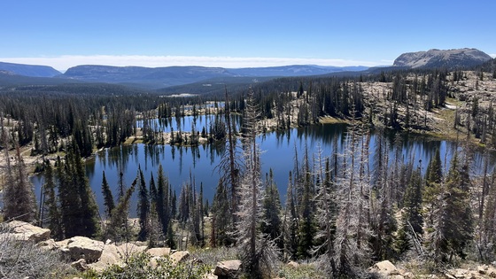 Uinta-Wasatch National Forest