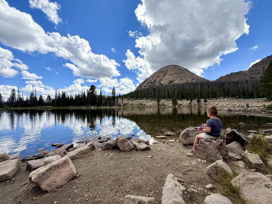 Uinta-Wasatch-Cache National Forest