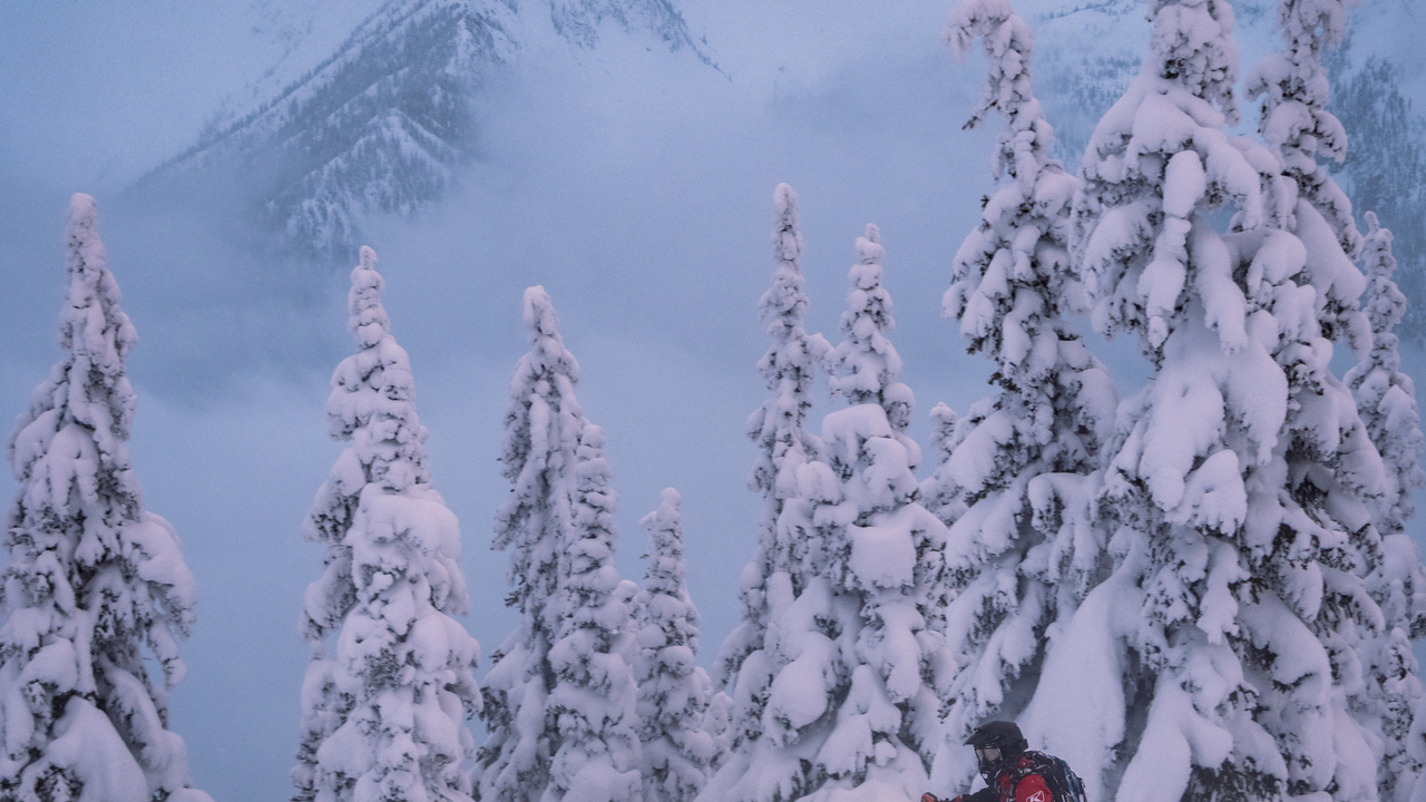 Playing in the Powder