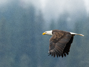 Mokins Bay Campground