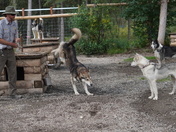 Denali National Park