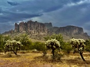 Tonto National Forest