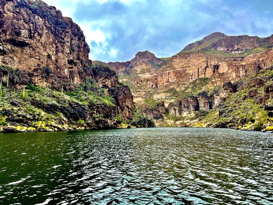 Tonto National Forest