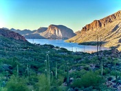 Tonto National Forest