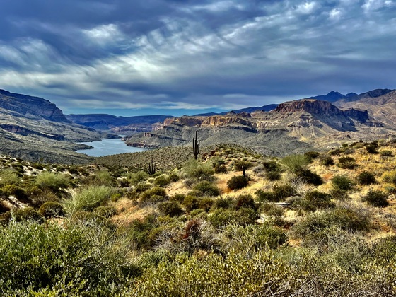 Tonto National Forest
