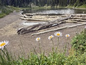 Mt Rainier National Park, Washington