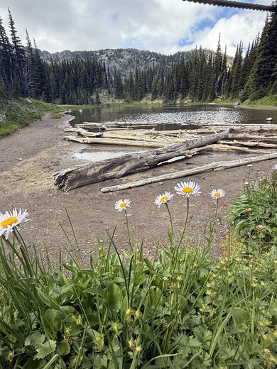 Mt Rainier National Park, Washington