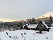 Mt Hood National Forest