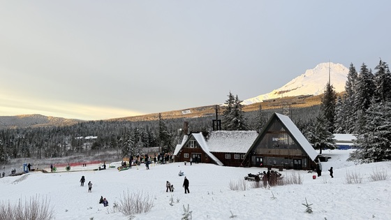 Mt Hood National Forest