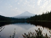 Mt. Hood National Forest