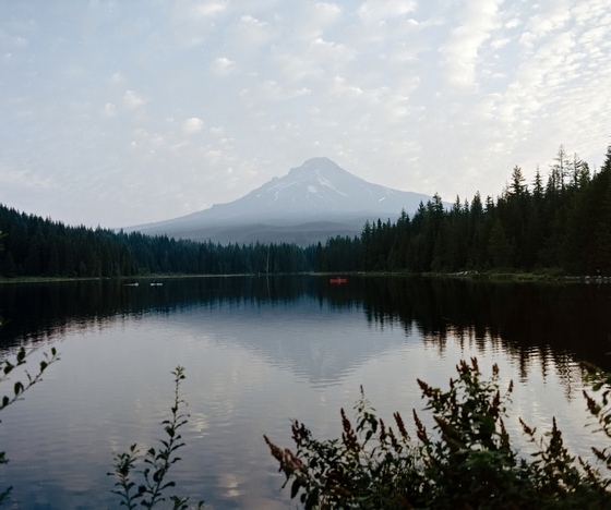 Mt. Hood National Forest