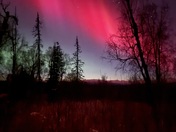 Chugach National Forest