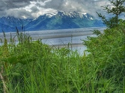 Denali National Park