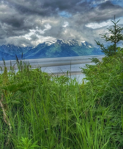 Denali National Park