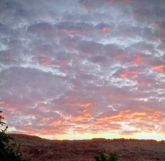 Arches National Park