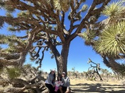 Joshua Tree National Park