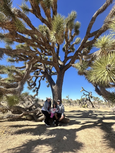 Joshua Tree National Park