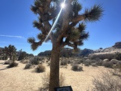 Joshua Tree National Park