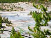 Yellowstone National Park