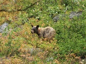 Grand Teton National Park