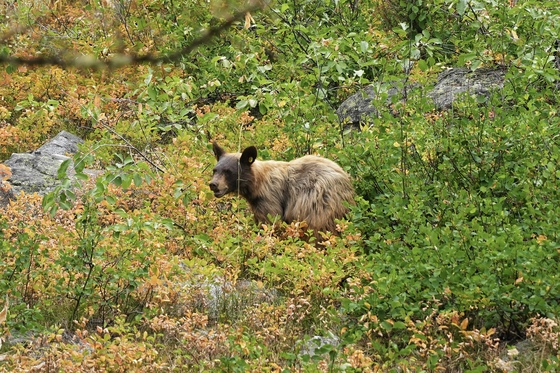 Grand Teton National Park