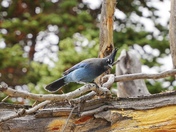 Rocky Mountain National Park