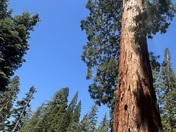 Yosemite National Park