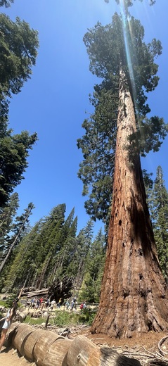 Yosemite National Park
