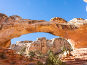 Capitol Reef National Park