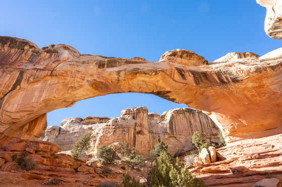 Capitol Reef National Park