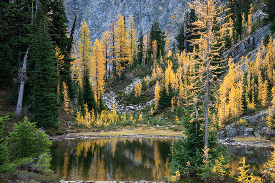 Cascades National Park