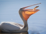 William L Finley National Wildlife Refuge