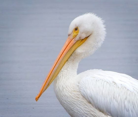 William L. Finley National Wildlife Refuge