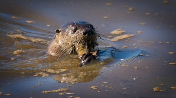 William L. Finley National Wildlife Refuge