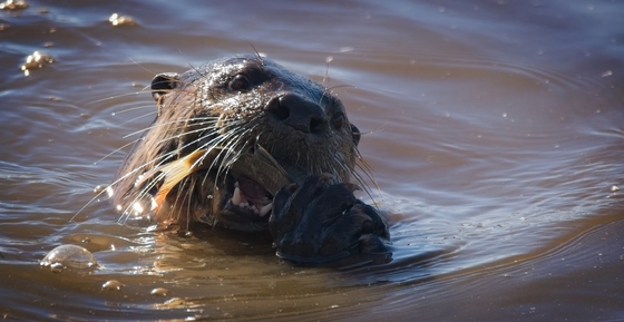 William L. Finley National Wildlife Refuge