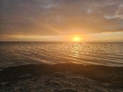 Pea Island National Wildlife Refuge