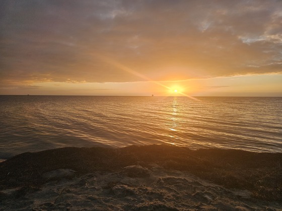 Pea Island National Wildlife Refuge