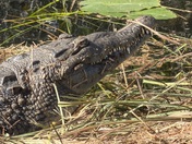 Everglades National Park