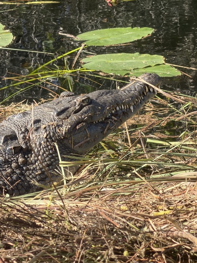 Everglades National Park