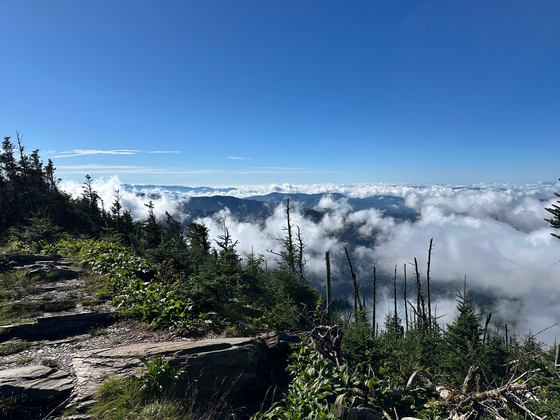 Great Smoky Mountains National Park