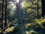 Great Smoky Mountains National Park