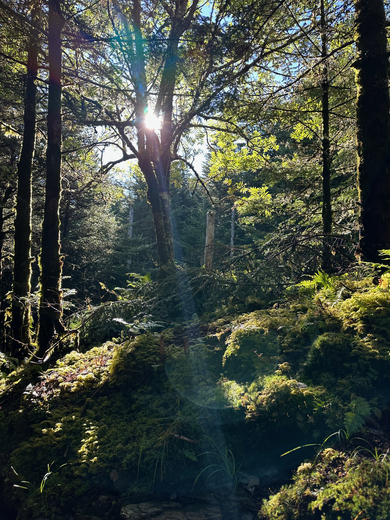 Great Smoky Mountains National Park